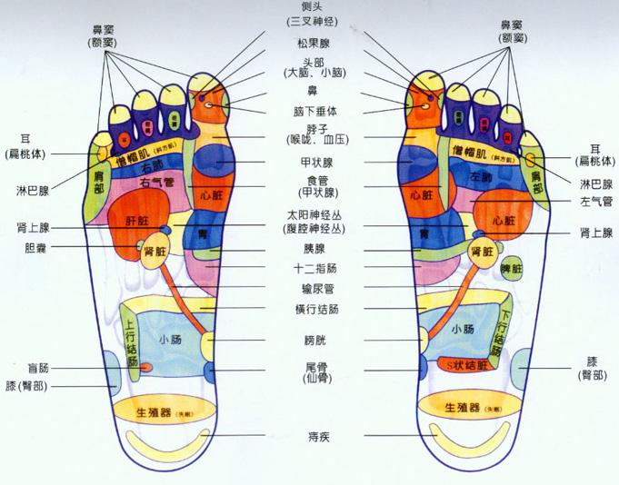 石家庄空气能热泵采暖人体感觉舒适0311-83016558